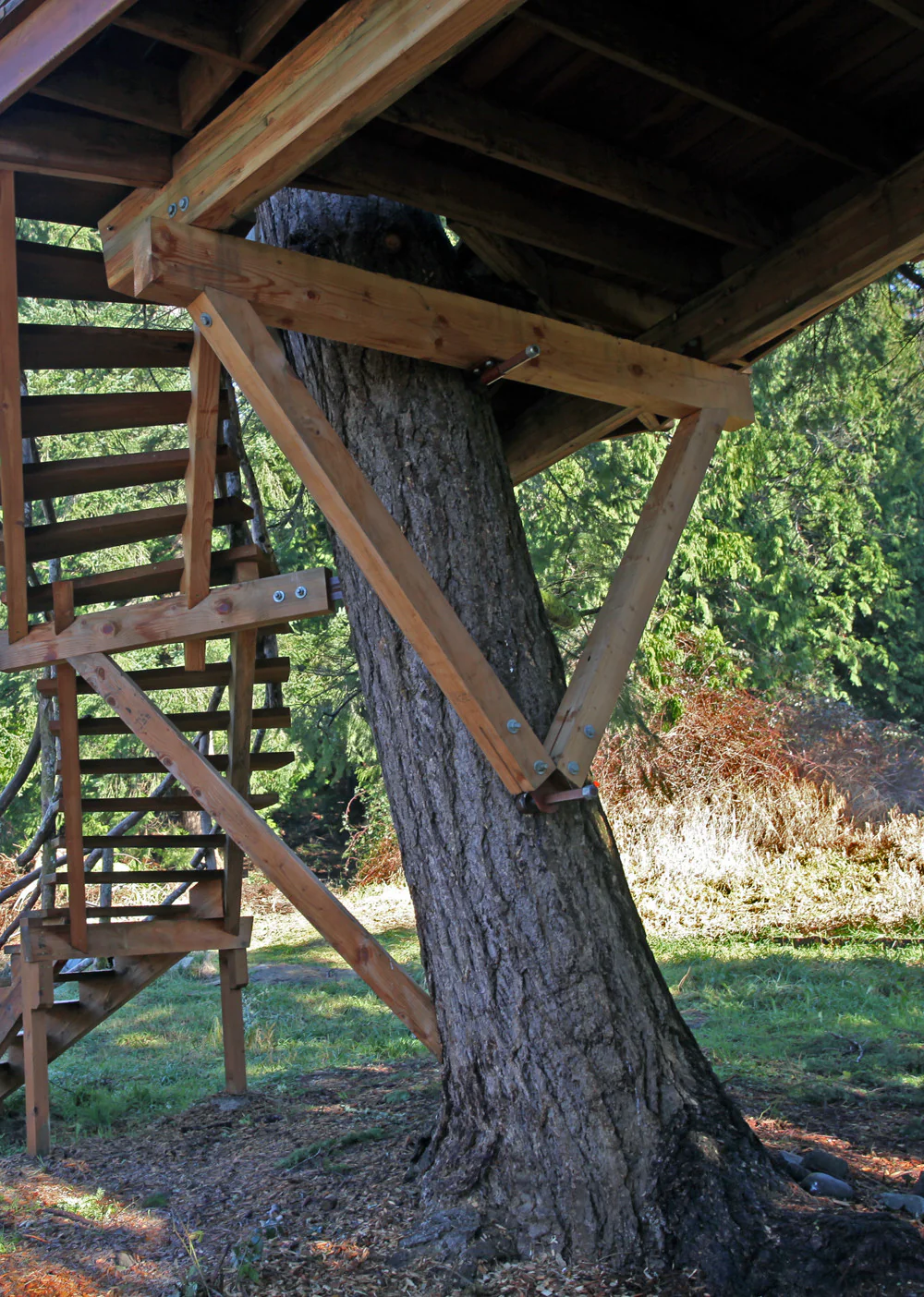 Wood Yoke SL Kit (Static) - Image 8